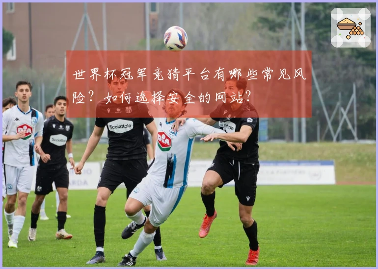 世界杯冠军竞猜平台有哪些常见风险？如何选择安全的网站？