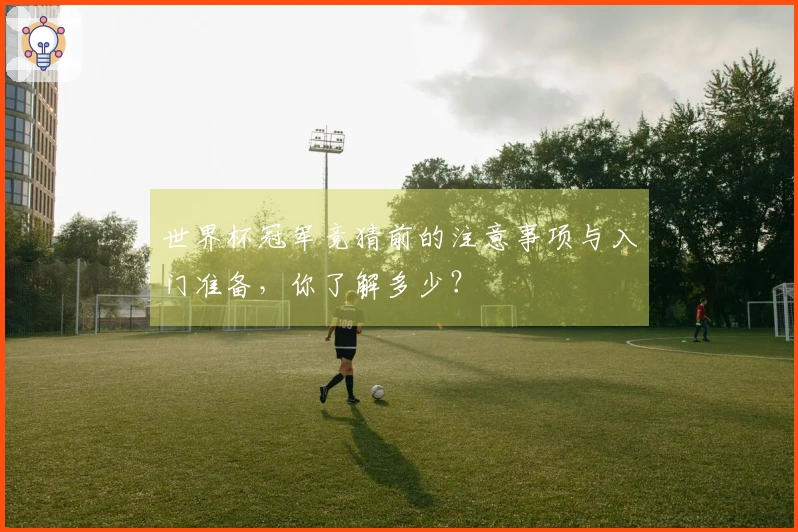 世界杯冠军竞猜前的注意事项与入门准备，你了解多少？