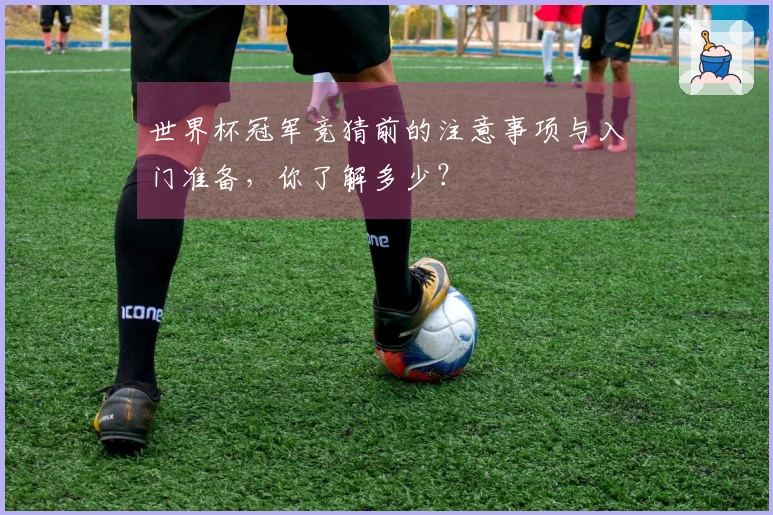 世界杯冠军竞猜前的注意事项与入门准备，你了解多少？