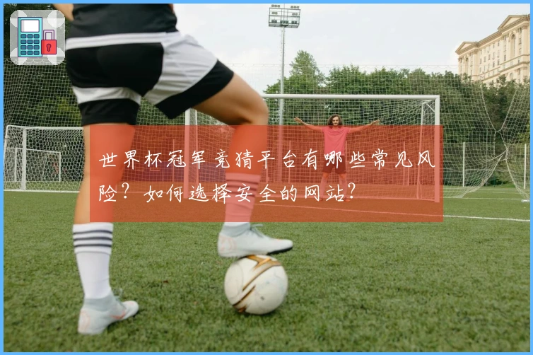世界杯冠军竞猜平台有哪些常见风险？如何选择安全的网站？
