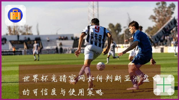 世界杯竞猜官网如何判断亚洲盘口的可信度与使用策略