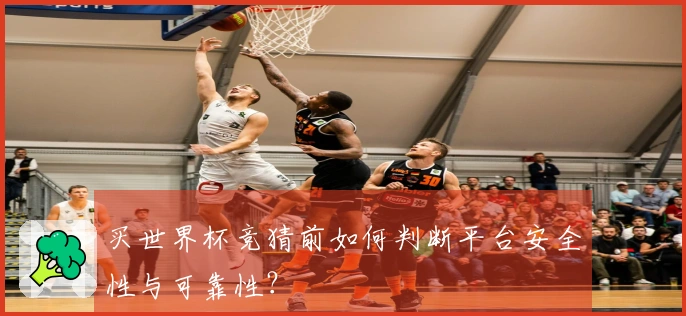 买世界杯竞猜前如何判断平台安全性与可靠性？