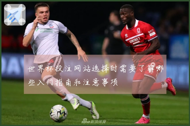 世界杯投注网站选择时需要了解哪些入门指南和注意事项