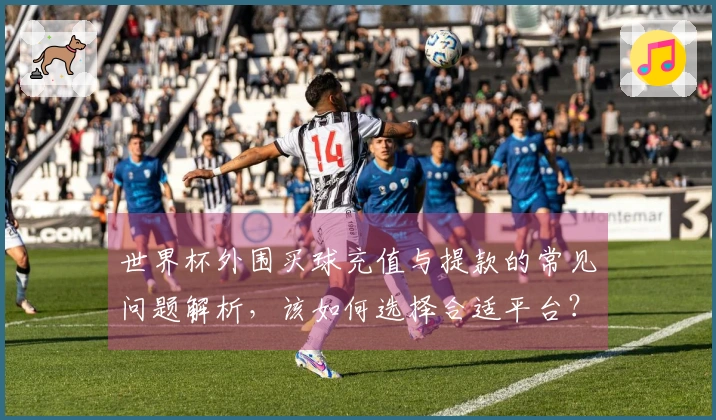 世界杯外围买球充值与提款的常见问题解析，该如何选择合适平台？
