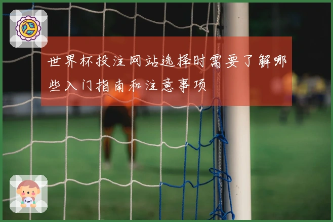 世界杯投注网站选择时需要了解哪些入门指南和注意事项
